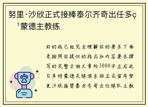 努里·沙欣正式接棒泰尔齐奇出任多特蒙德主教练