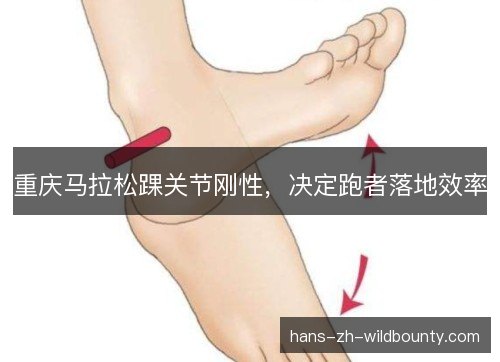 重庆马拉松踝关节刚性，决定跑者落地效率